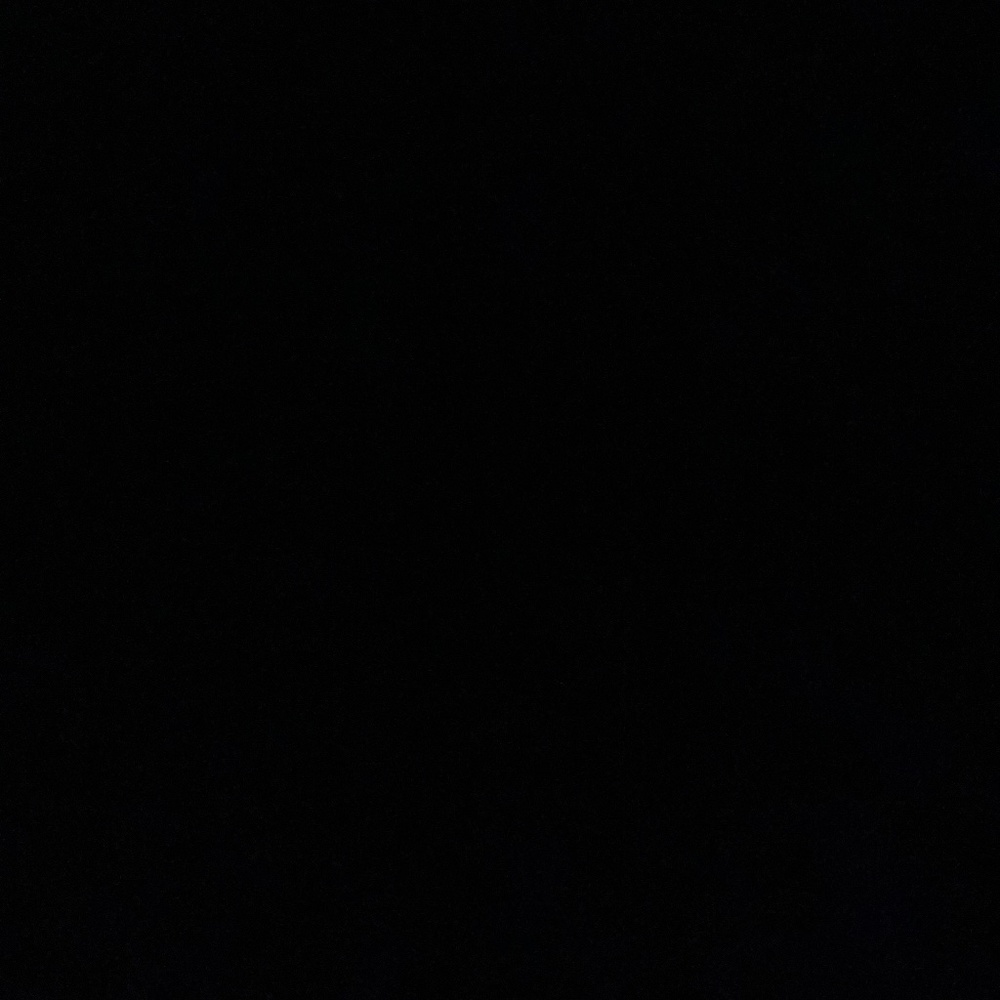 Meet your Posher, Ty’kiria